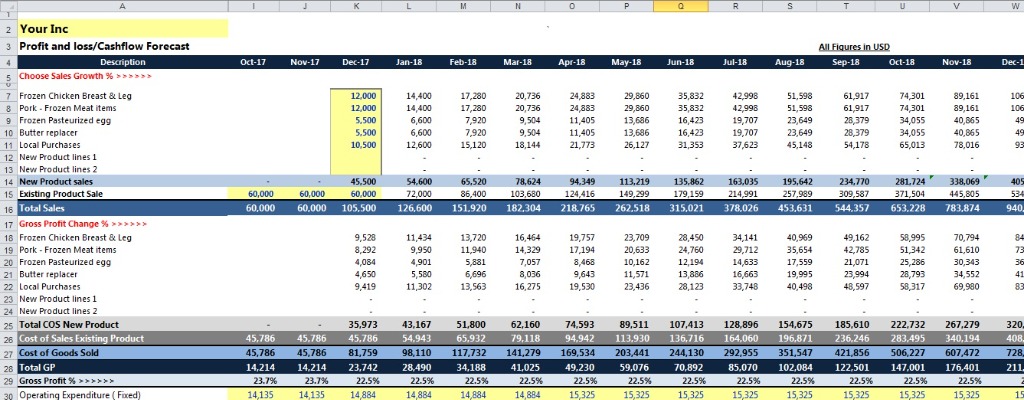 Cash Flow Forecast Infographic